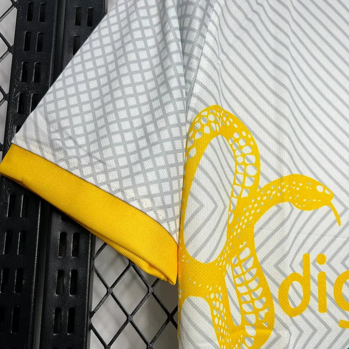 Maillot Inter Milan foot 2024 2025 concept