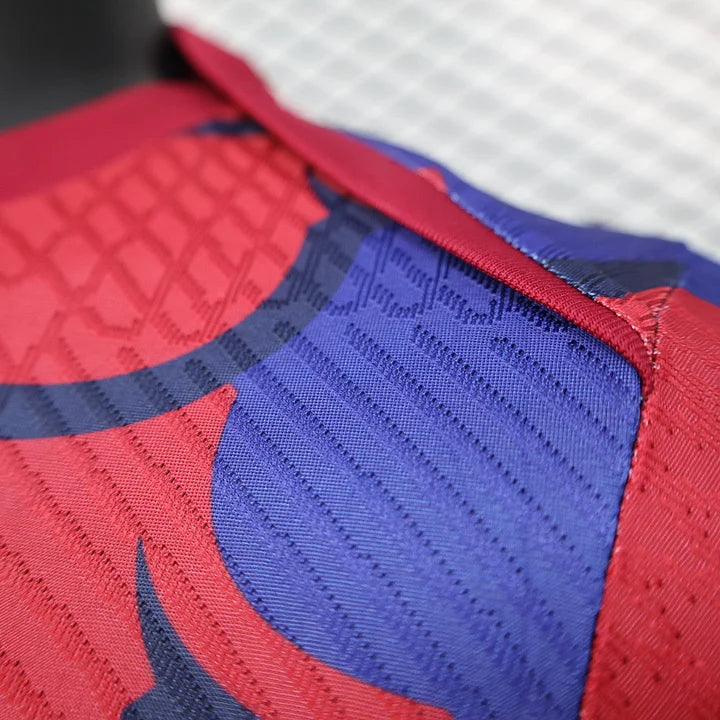 Maillot foot FC Barcelone 2024 2025 Pre-Match