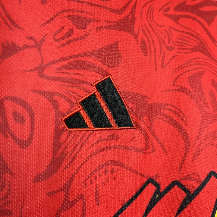 Maillot Inter Miami  foot concept 2024 2025