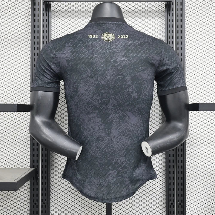 Maillot Argentine foot concept 2024 2025