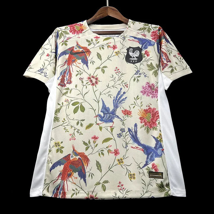 Maillot Équipe de France maillot foot concept 2023 2024