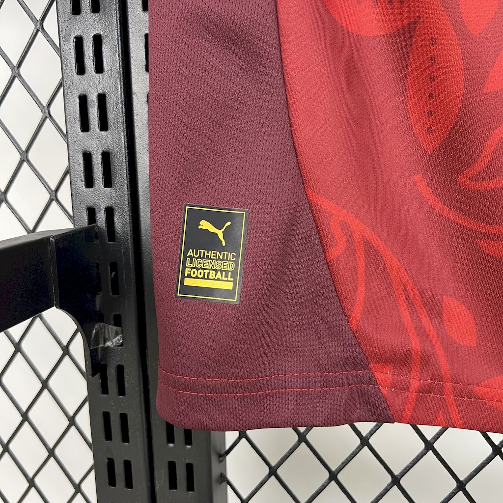 Maillot Portugal entrainement 2025-26