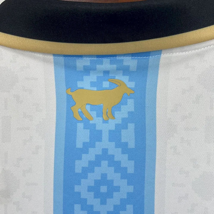 Maillot Argentine Foot 2025 2026 concept